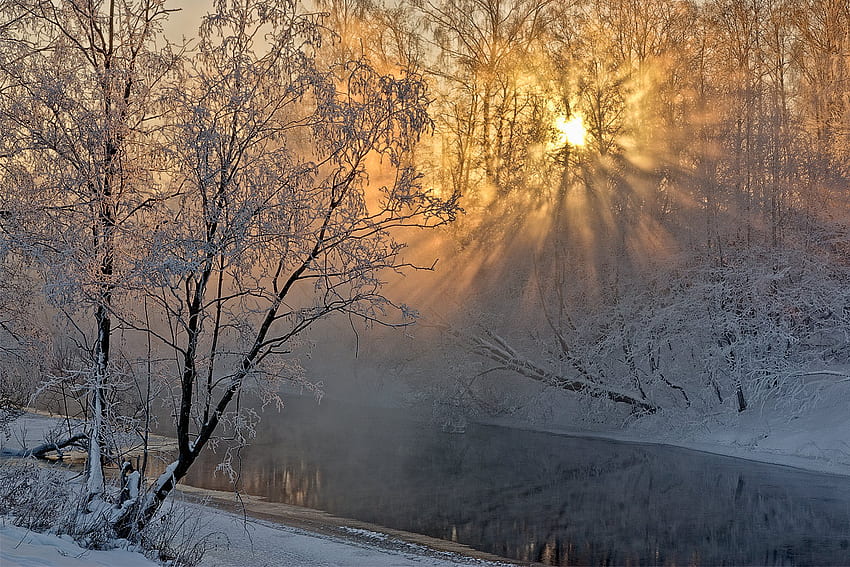 Sonnenschein durch frostige Bäume.., Sonnenschein, sonnig, golden, Frost, weiß, Schnee, Bäume, warm, Wasser, Strom HD-Hintergrundbild