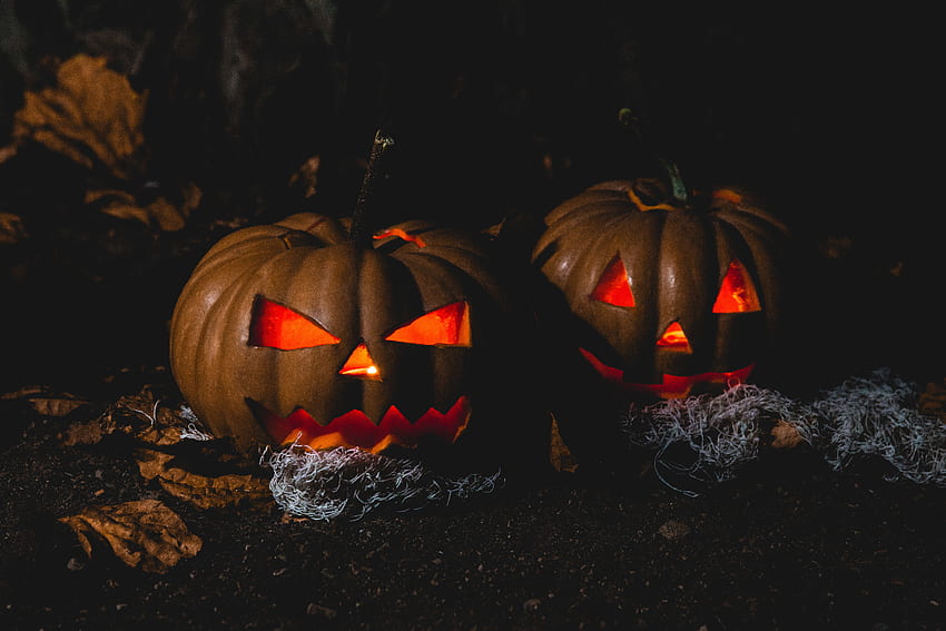 Feiertage, Halloween, Kürbis, dunkel HD-Hintergrundbild