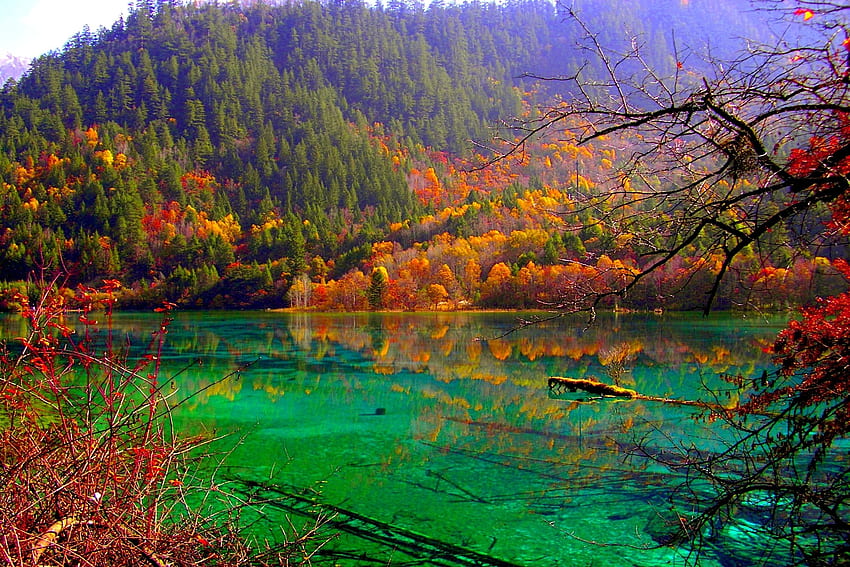 Colori autunnali, fiume, alberi, autunno, montagne, foresta Sfondo HD