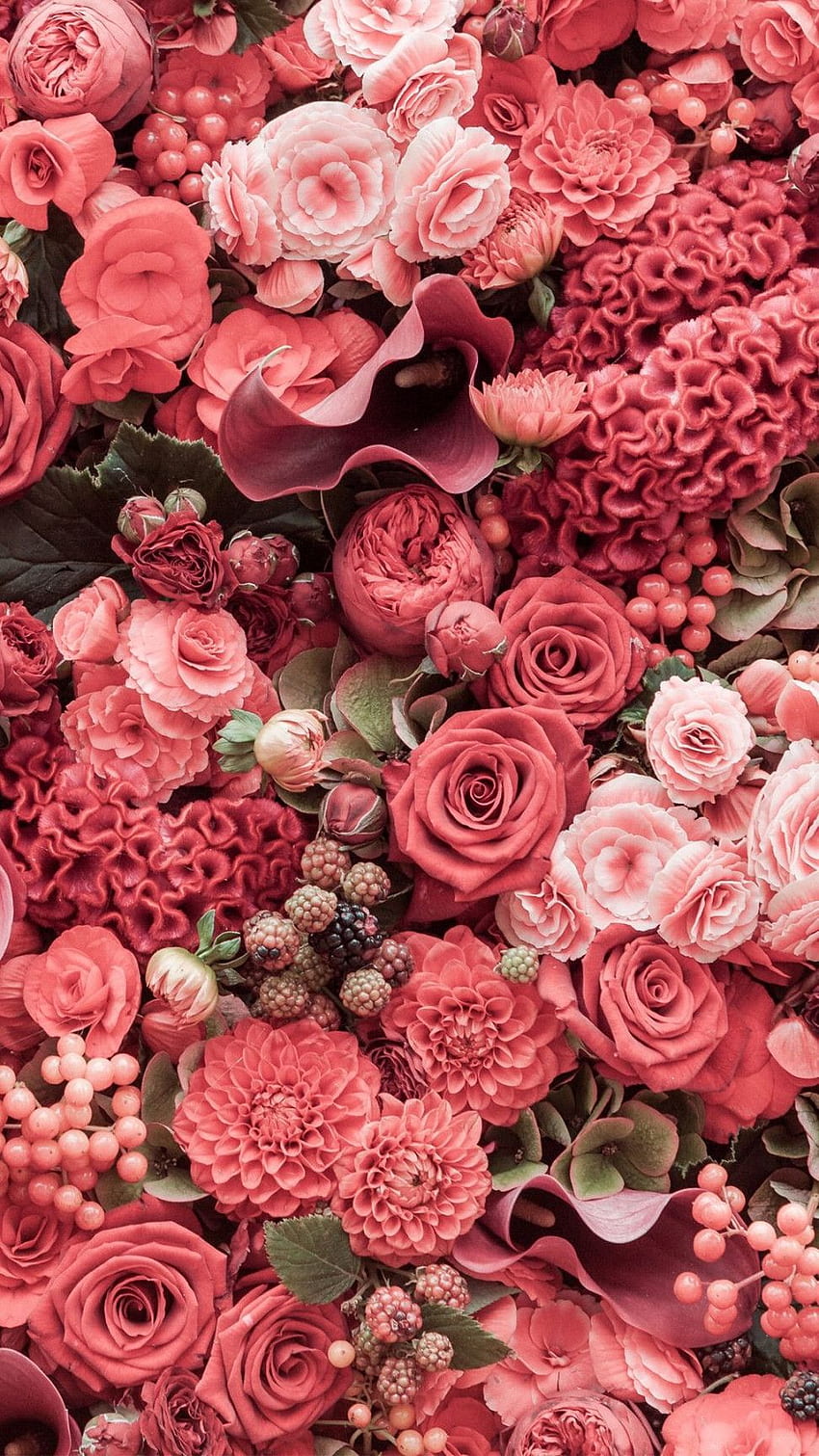 Pinterest - iPhone floreale oro rosa - , fiori oro rosa Sfondo del telefono HD