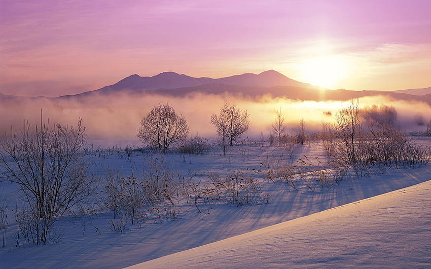 Hokkaido Japão. Neve, Nevoeiro, Inverno, Hokkaido, Japão, Natureza. papel de parede HD