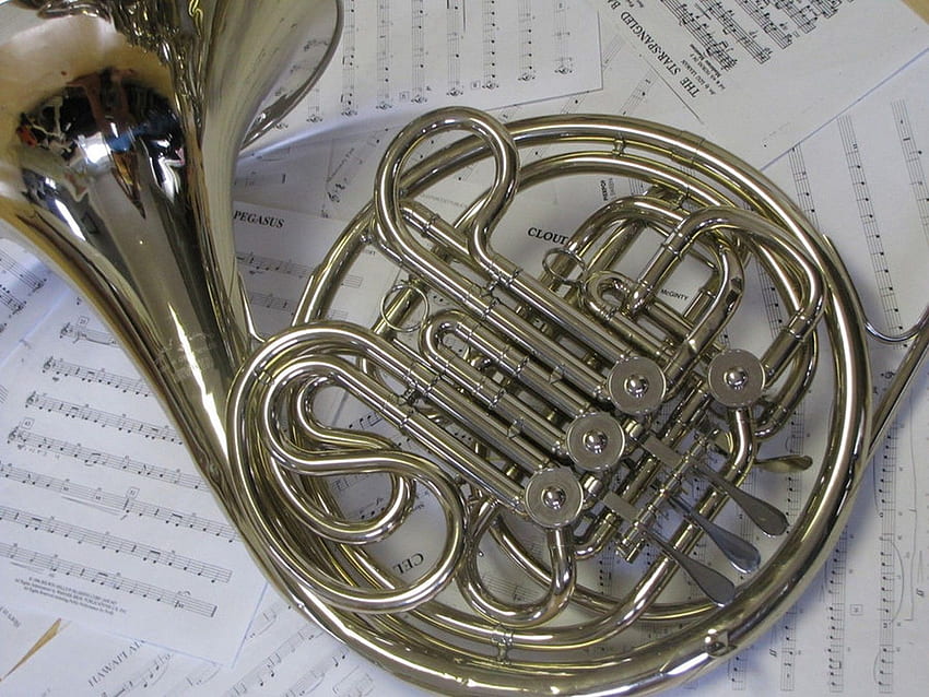 French horn. Музыкальные инструменты HD wallpaper
