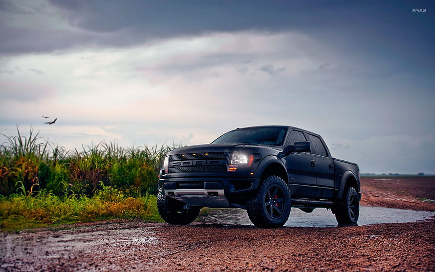 Front Side View Of A Black Ford F 150 Raptor Car HD wallpaper