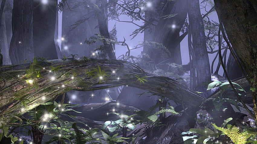 Dark Enchanted Forest HD wallpaper