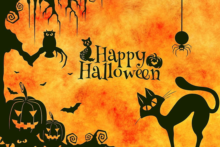Selamat Halloween, burung hantu, labu, hitam, kuning, kucing, seram, laba-laba, oranye Wallpaper HD