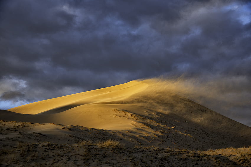 Природа, пясък, пустиня, дюна, вятър HD тапет