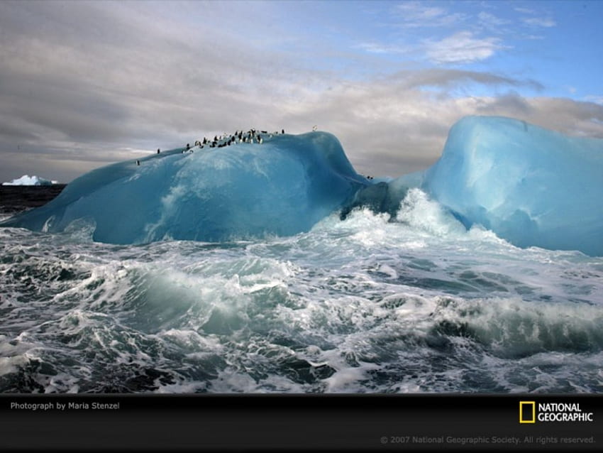 Gunung Es Biru, musim dingin, biru, antartika, penguin, ocena, gunung es, Arktik, es Wallpaper HD