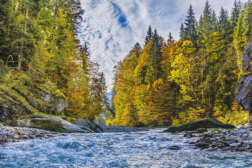Nature, Rivers, Trees, Autumn, Flow HD wallpaper