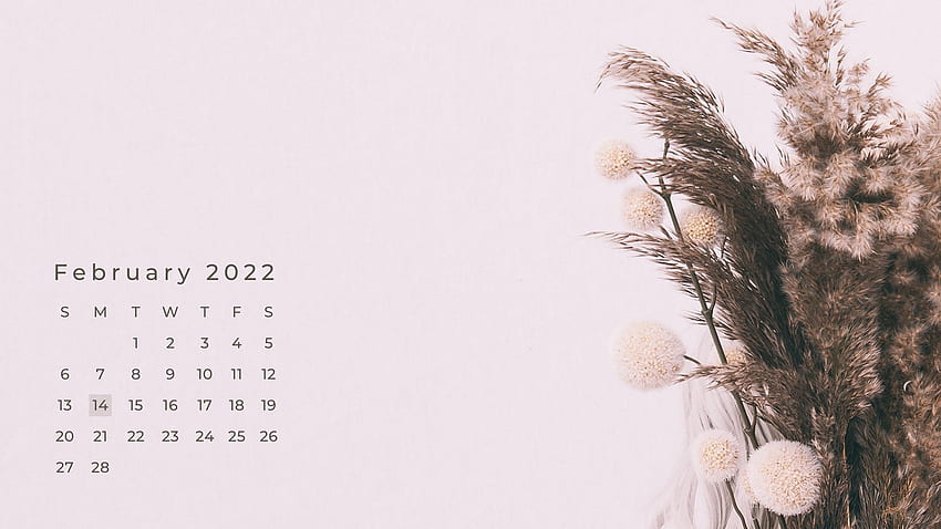 Flowers February 2022 Calendar Light Pink Background February HD wallpaper