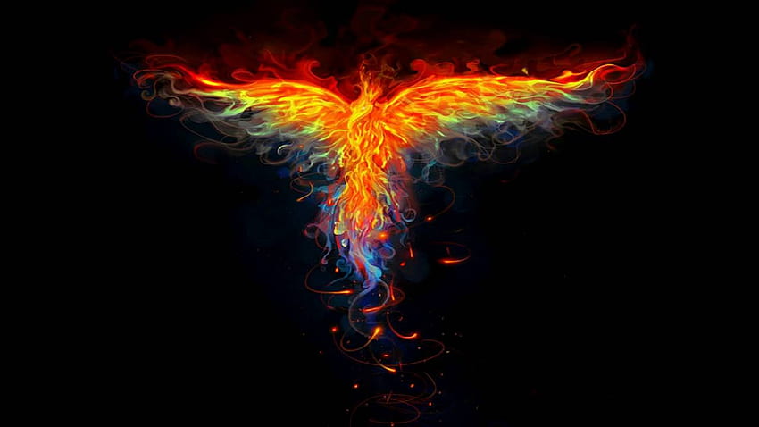 Rising phoenix / Shorts chalet HD wallpaper