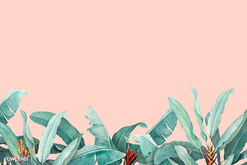 Premium-Illustration von handgezeichneten tropischen Blättern auf einem Pastell. Pastellhintergrund, pastellfarbener Hintergrund, rosafarbener Laptop, ästhetische Blätter HD-Hintergrundbild