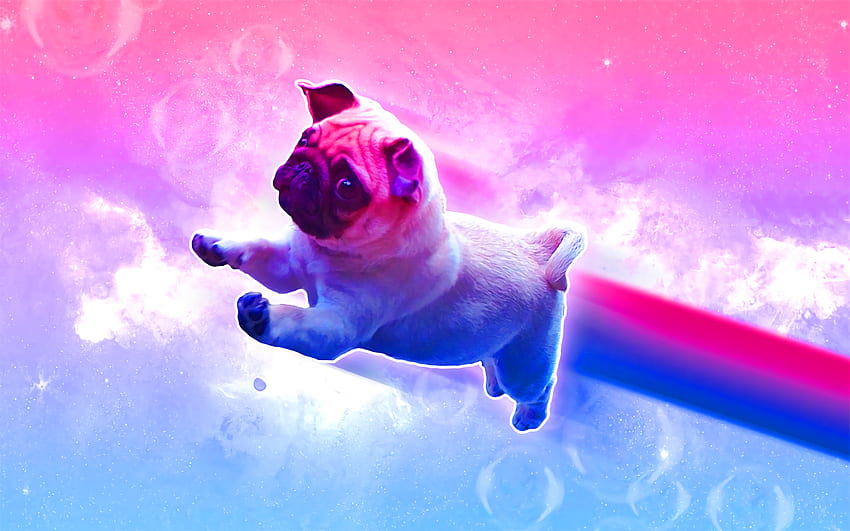 Space Pug HD wallpaper
