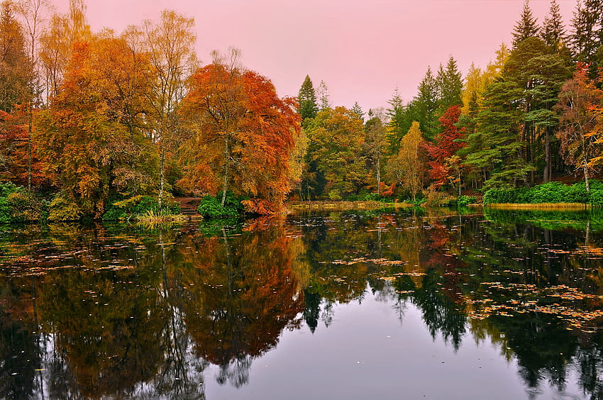 Natureza, Outono, Lago, Reflexão, Floresta papel de parede HD