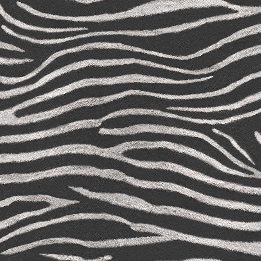 TROPICS SERENGETI ZEBRA PRINT - BLACK - ARTHOUSE 670300, Zebra Pattern HD phone wallpaper
