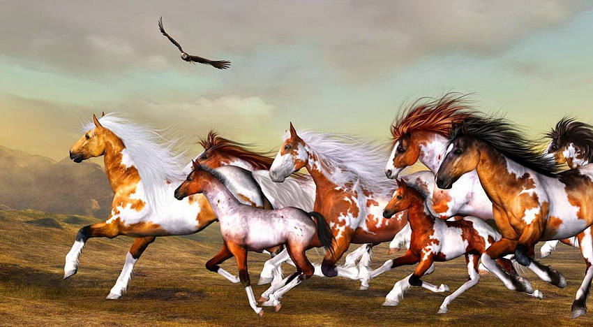 Диви коне, тичане, изкуство, куп, див, хубав, красив, коне, , поле, природа, небе, прекрасен HD тапет