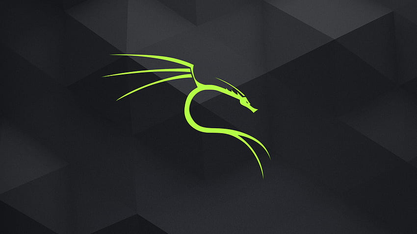 GitHub Dorianpro Kali Linux: um conjunto de Kali dedicado papel de parede HD