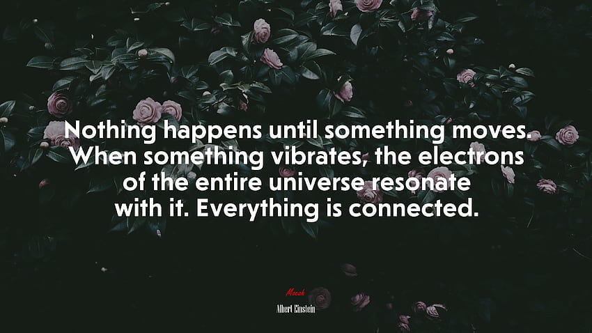 Non succede niente finché qualcosa non si muove. Quando qualcosa vibra, gli elettroni dell'intero universo risuonano con esso. Tutto è connesso. Citazione di Albert Einstein, Tutto è connesso Sfondo HD