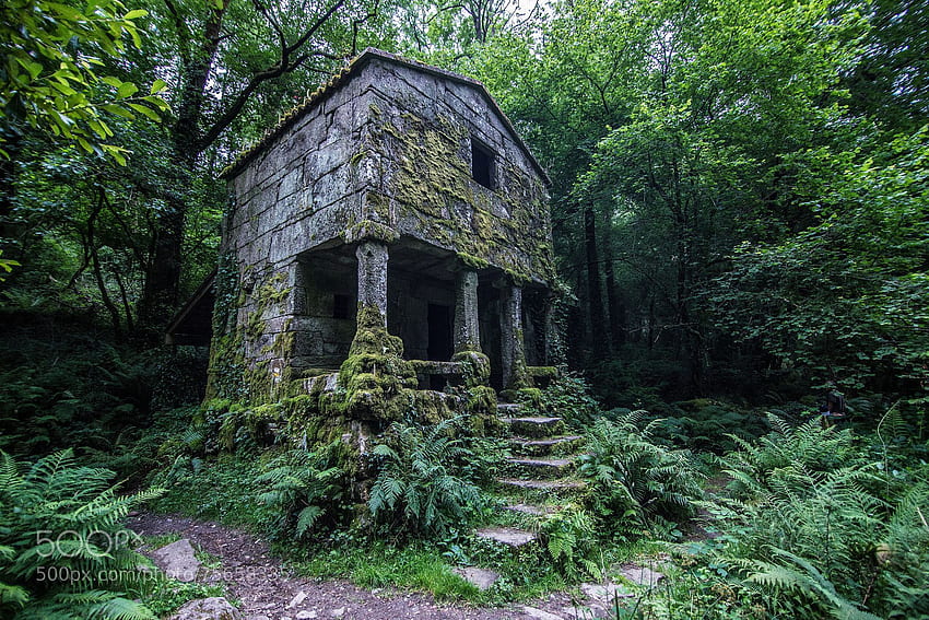 celtic forest circle of stone - Saferbrowser Yahoo Search Results. Abandoned houses, Old abandoned houses, Abandoned buildings HD wallpaper