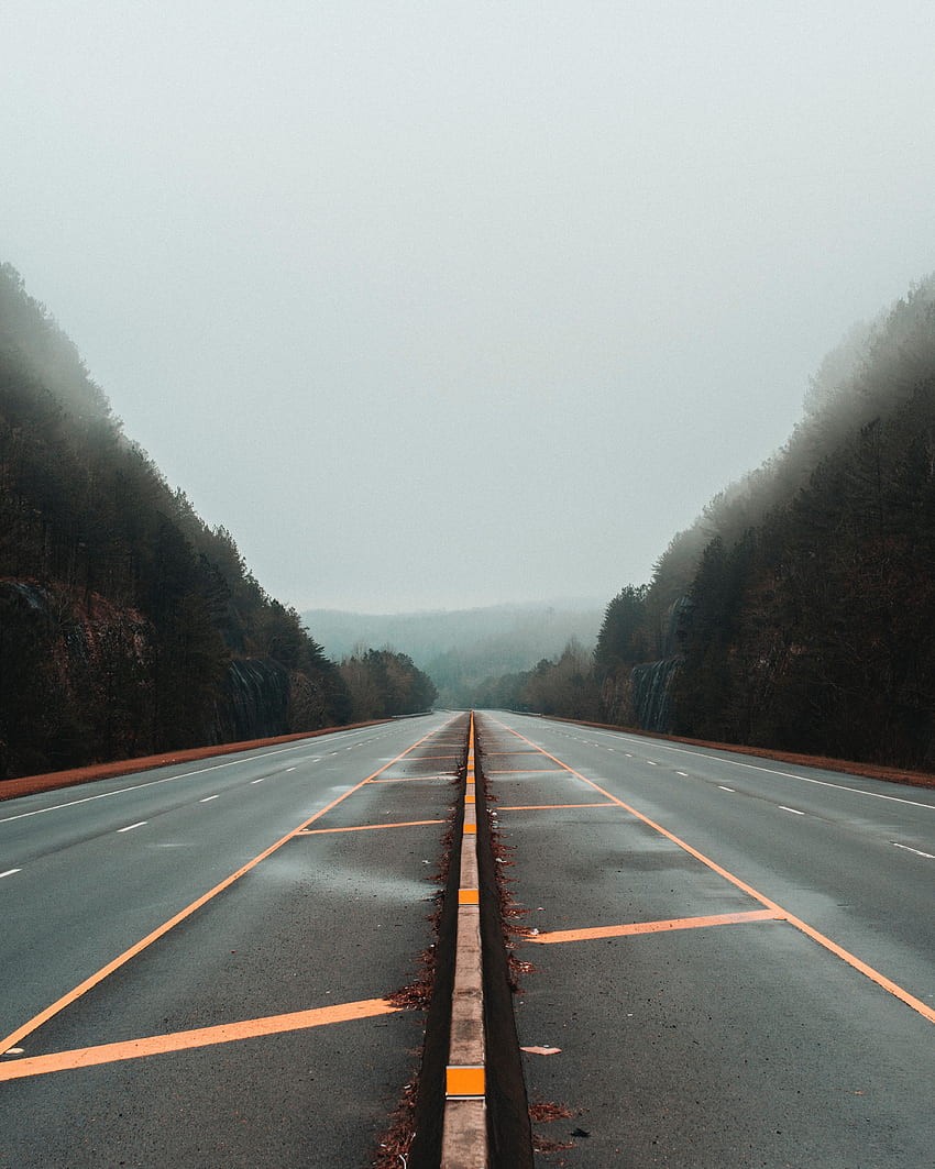 carretera, naturaleza, árboles, marcado, niebla, líneas fondo de pantalla del teléfono