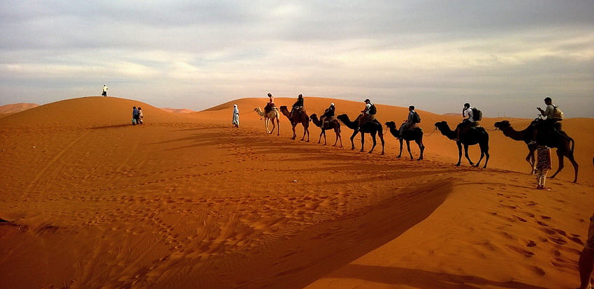 Samsung Galaxy S8 .Sahara, Camel, Sky, Camel train. HD wallpaper