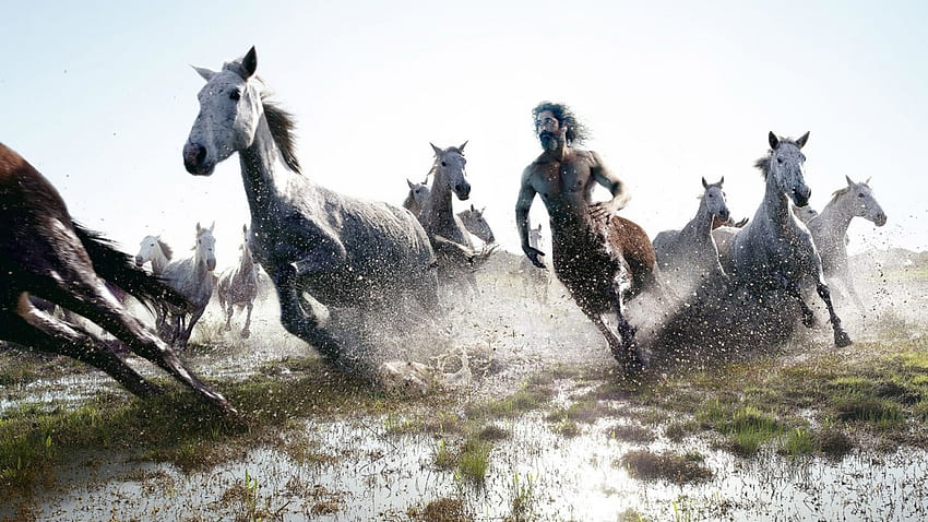 running with horses, art fast horses, horses, fantasy HD wallpaper