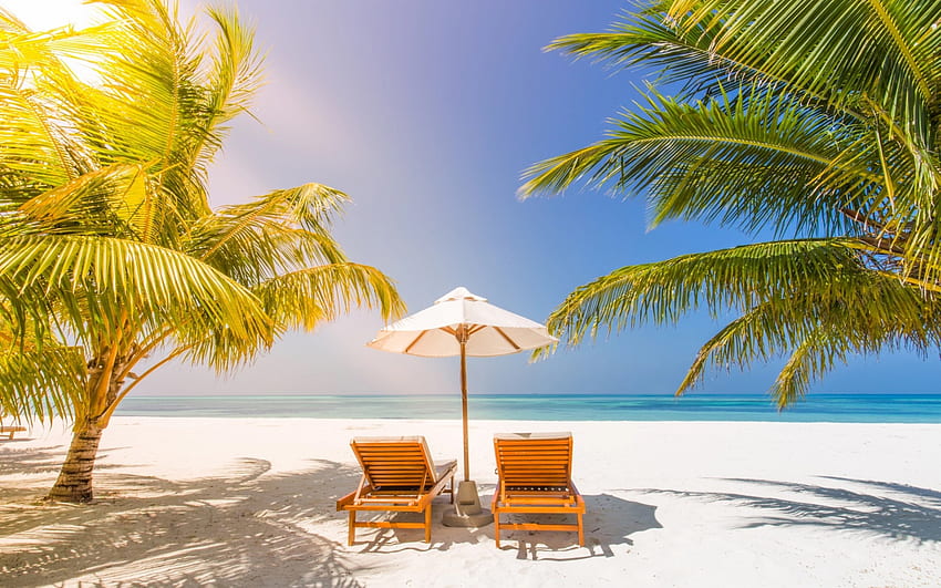 sedie a sdraio, isola tropicale, palme, vacanze estive, laguna blu, azzurro, oceano per con risoluzione. Alta qualità Sfondo HD