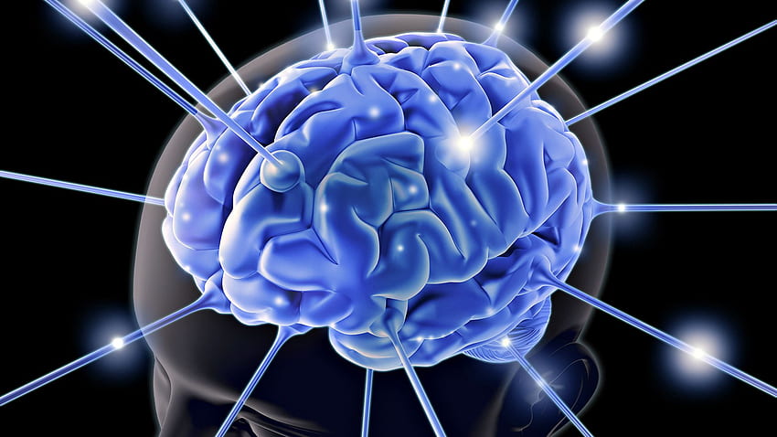 COVID 19가 기억 상실 및 인지 기능 저하 위험을 증가시키는 방법 - The Wire Science, Psychology Brain HD 월페이퍼
