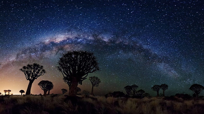 Milky Way Over Quiver Tree Forest, espacio, nasa, galaxias, estrellas PC y Mac fondo de pantalla