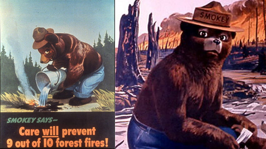 Five facts you didn't know about Smokey the Bear on his 70th birtay - ABC7 Chicago HD wallpaper