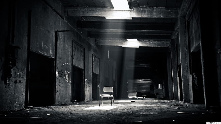 Inside abandoned building with light, Abandoned Building Nature HD wallpaper