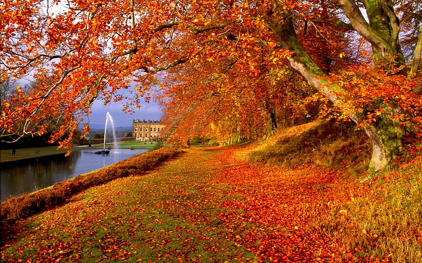 Fall For Android Gif, Windows XP Autumn HD wallpaper | Pxfuel