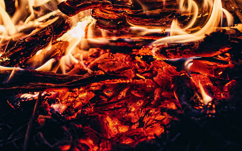 llamas de fuego, macro, carbones ardientes, hoguera, árbol ardiente, fuego, carbones, texturas de fuego, texturas de carbón ardiente, carbones ardientes, con carbones ardientes, con fuego fondo de pantalla