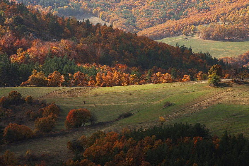 Есенни Родопи, графика, светлина, есен, българия, дървета, есен, планина HD тапет