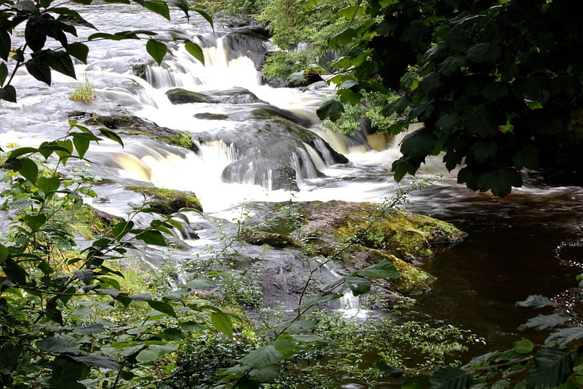 eau vive, rivière, amusement, cool, nature, forêt Fond d'écran HD