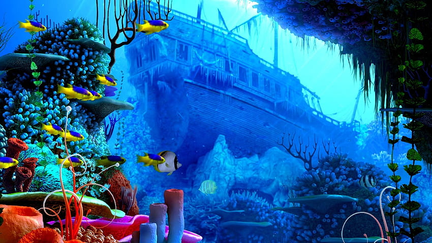 Underwater Beauty Coral Reef Ocean Fish - . Underwater , Underwater background, Aquarium background, Beautiful Coral Reef HD wallpaper