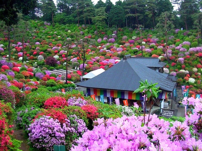 Japanese Garden, view, beautiful HD wallpaper