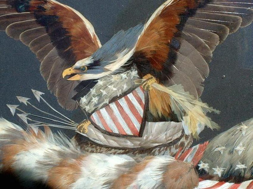 Águia patriótica do século XIX, escudo, águia papel de parede HD