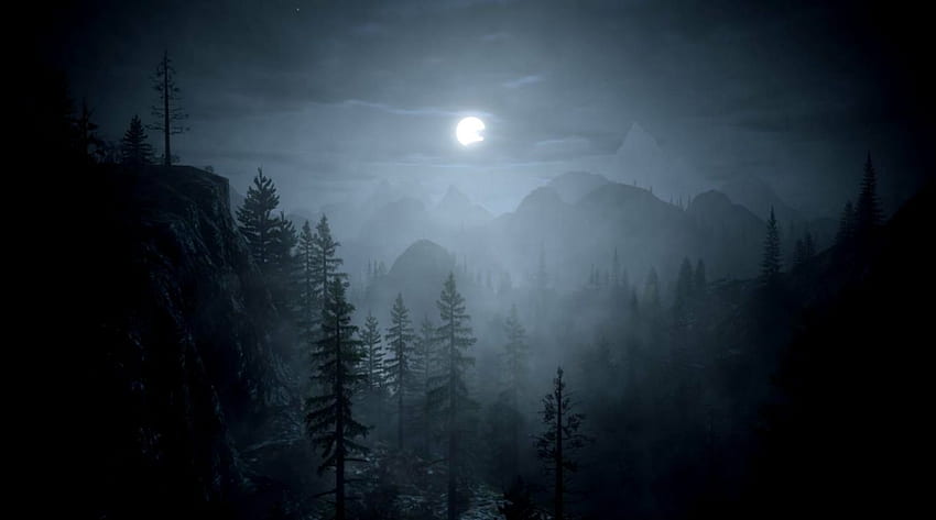 Dark Forest, Dark Misty Forest HD wallpaper