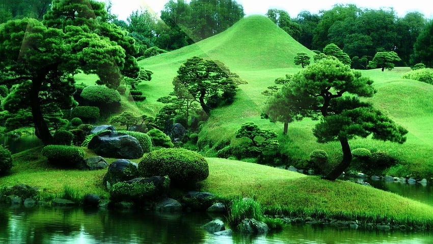 Zen Green, Buddha Garden HD wallpaper