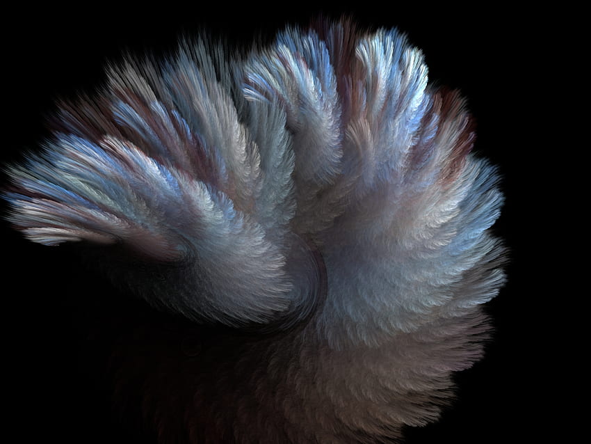 Fur and feathers, blue, fur, grey, fractal, feathery HD wallpaper