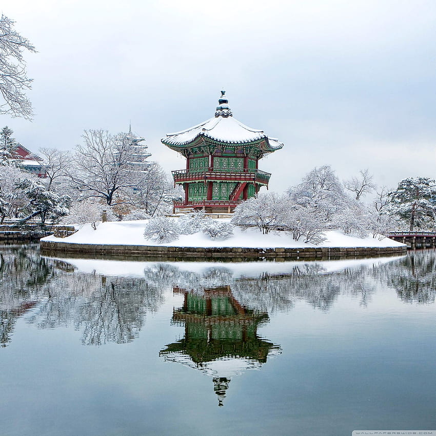 Дворецът Gyeongbok, Южна Корея, зимен ултра фон за U TV : и ултраширок и лаптоп : таблет : смартфон HD тапет за телефон
