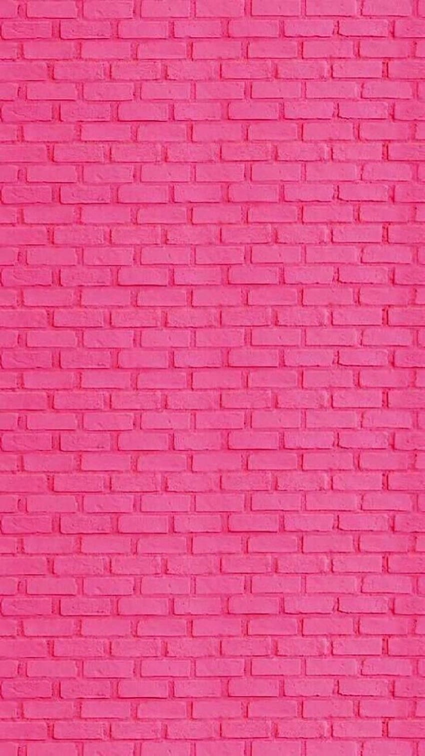 Jaqueline Mendez on everything in 2019, Pink Brick HD phone wallpaper