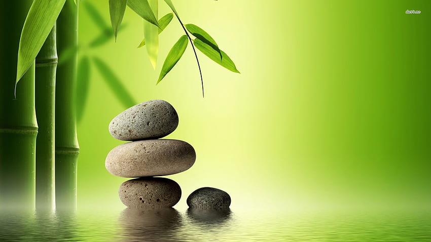 Zen Stones, Orchid Stones Bamboo HD wallpaper