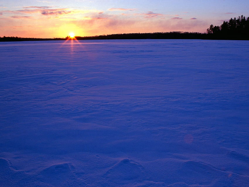 Nature, Sunset, Snow, Field, Evening HD wallpaper
