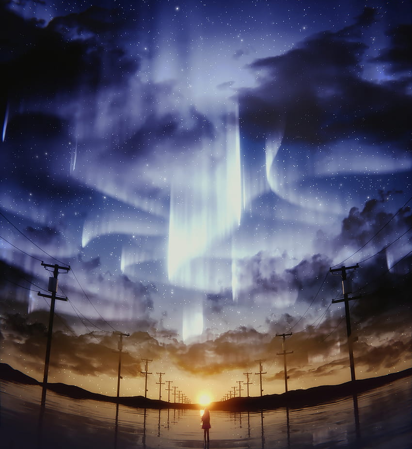 Anime, niebo, sztuka, horyzont, sylwetka, gwiaździste niebo, filary, słupki Tapeta na telefon HD