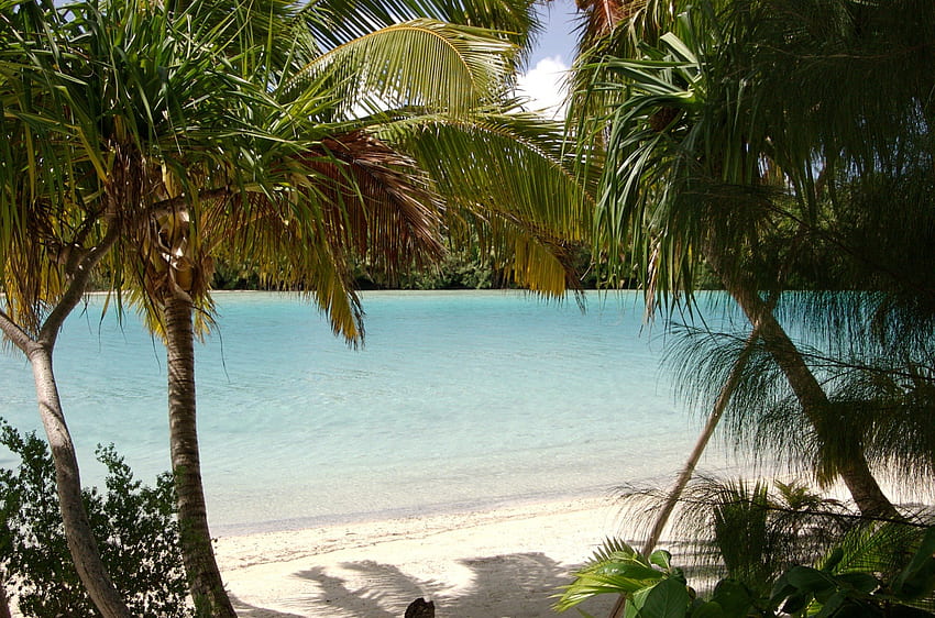 One Foot Island райски плаж и лагуна океан Aitutaki Cook Islands Полинезия, остров, тучен, син, пясък, палма, тропически, плаж, дзен, готвач, едно, aitutaki, дървета, пустиня, острови, океан, море, бягство, крак, сам , екзотика, рай, красиво, лагуна, мир, полинезия HD тапет