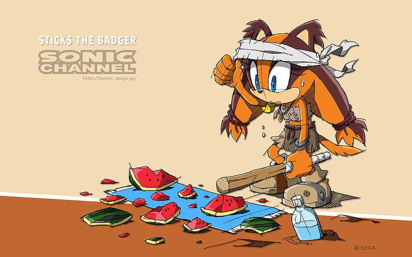Sonic Characters .dog, Sonic Channel HD wallpaper
