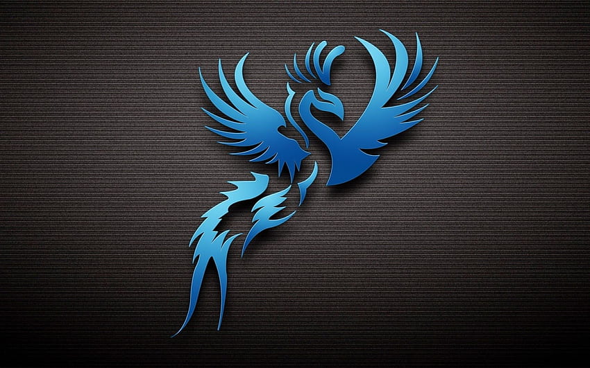 Logotipo do pássaro azul, fênix papel de parede HD