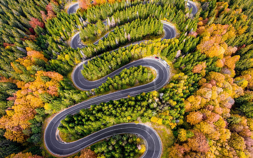 Winding road, highway, aerial view, forest HD wallpaper