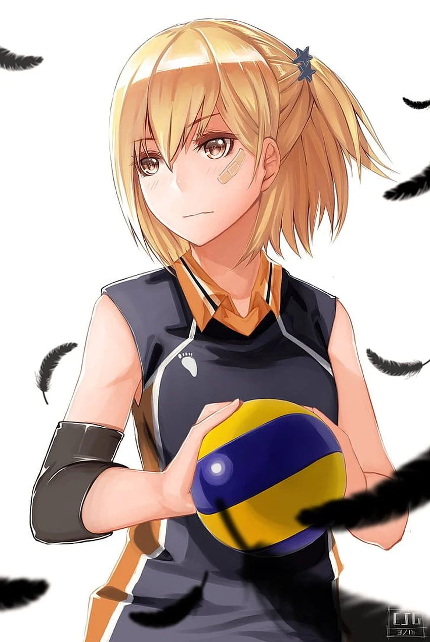 Riapawel Haikyuu Anime Poster 42*29.7cm Sport Volleyball - Walmart.com